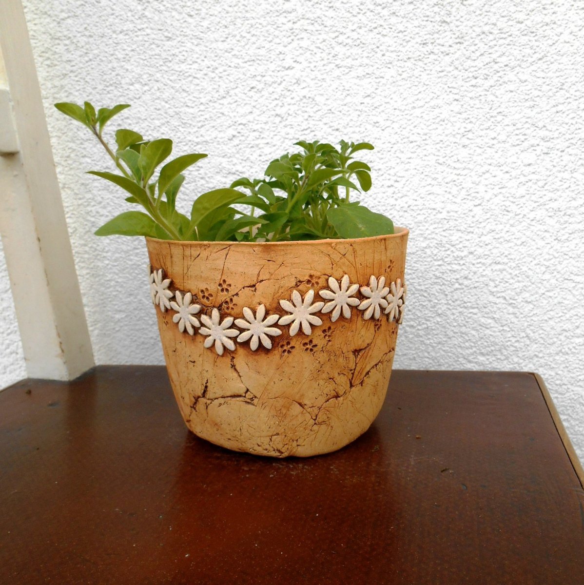 Květník - kopretiny