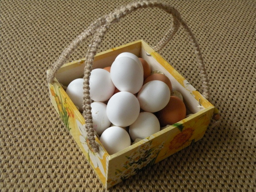 Stojan na dochucovadla/košík na 9 vajec - Narcisy