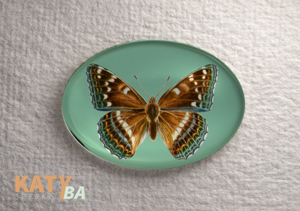 Kabošon 40 x 30 mm, motýlek - Bělopásek topolový