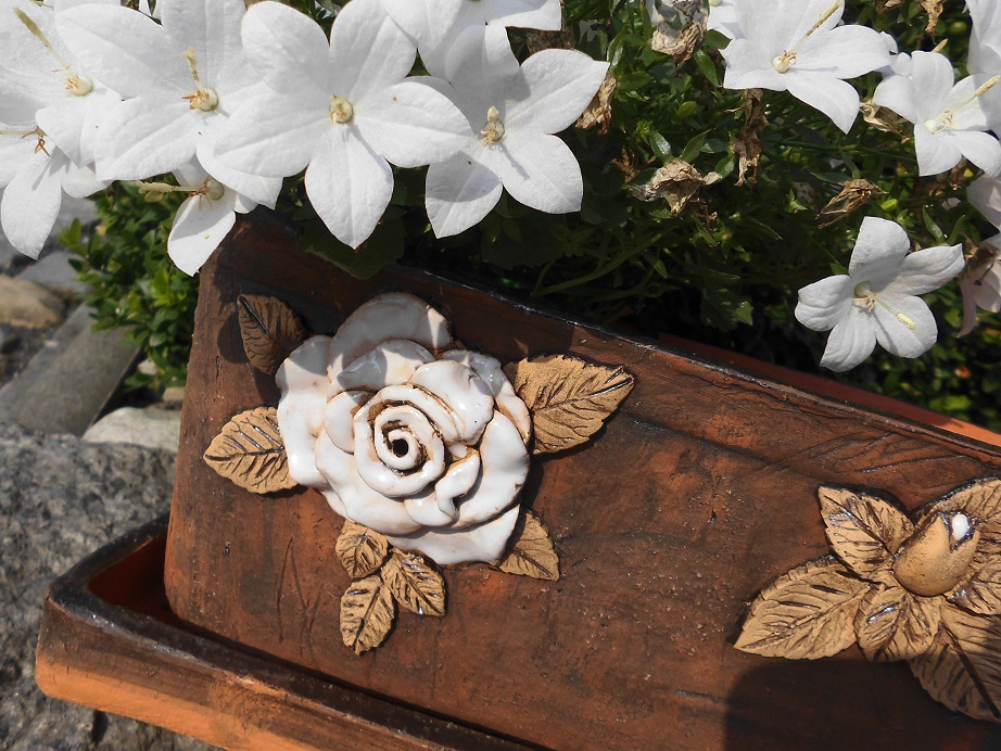 Truhlík s růžičkami - tmavý