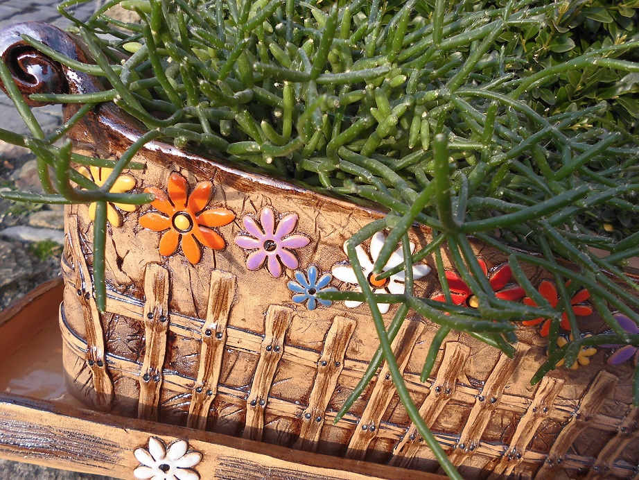 Truhlík-zahrádka velká (45 cm)