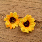 otáčej se za sluncem!