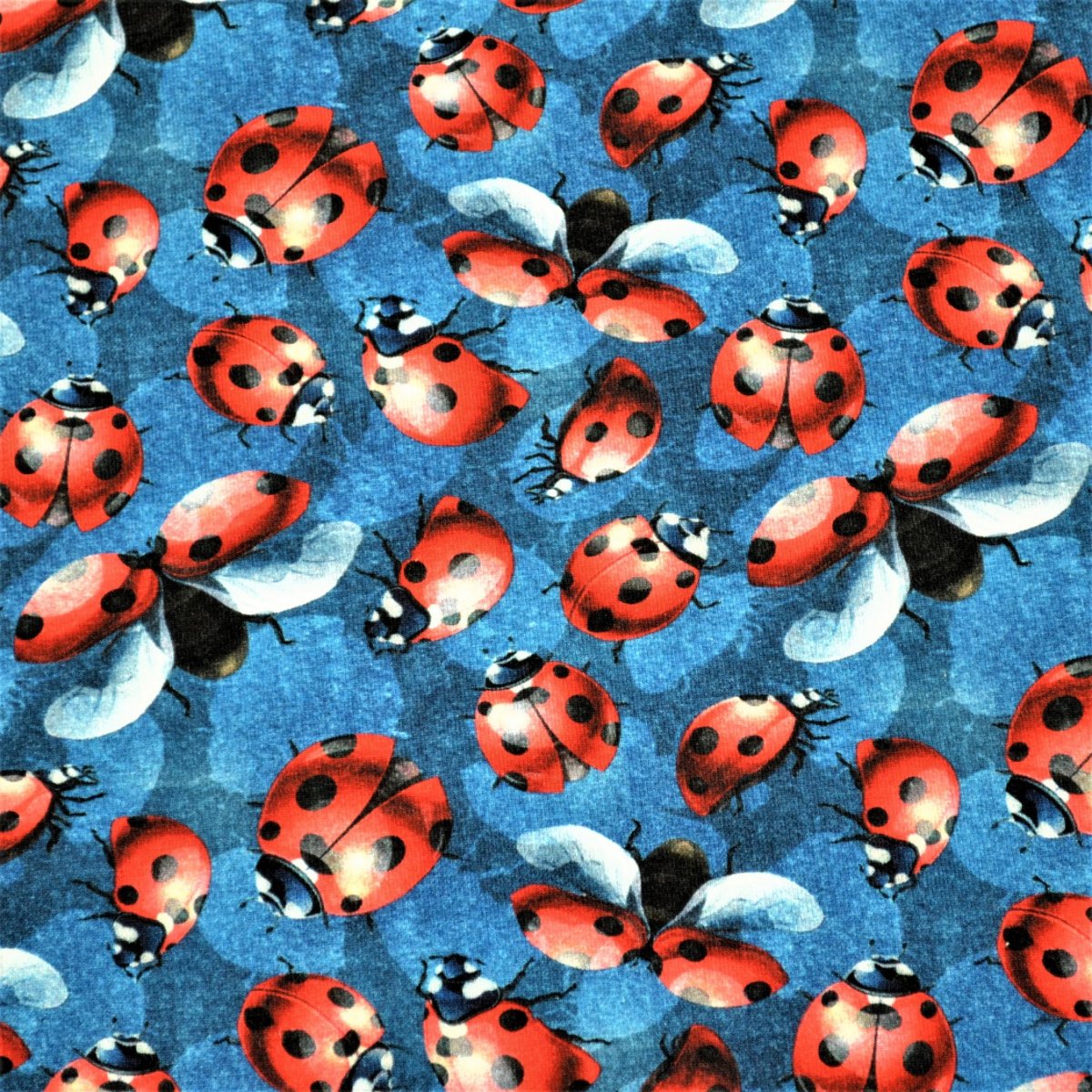 Úplet DIGITÁLNÍ TISK Berušky