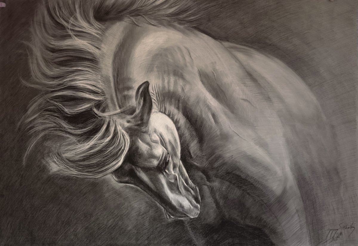 Vystoupení ze stínu 