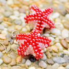 Červené mořské hvězdy