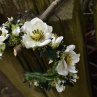 bílá květinová koruna