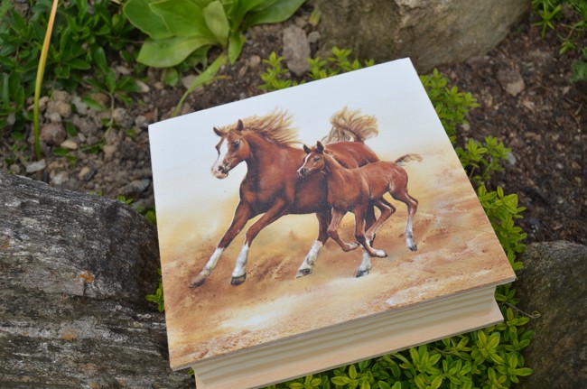 Krabička, šperkovnice - koně