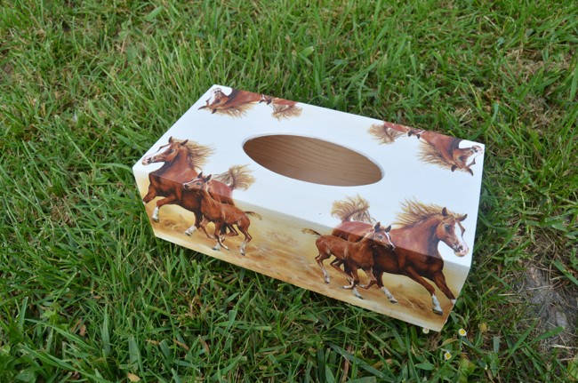 krabička na kapesníky koně