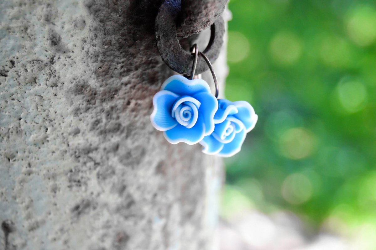 Modré růže? - náušnice