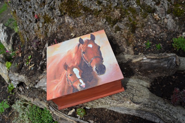 Krabička, šperkovnice - koně