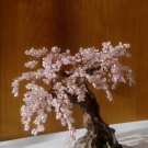 Bonsai rosa