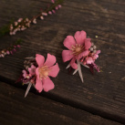 zklidnění energií