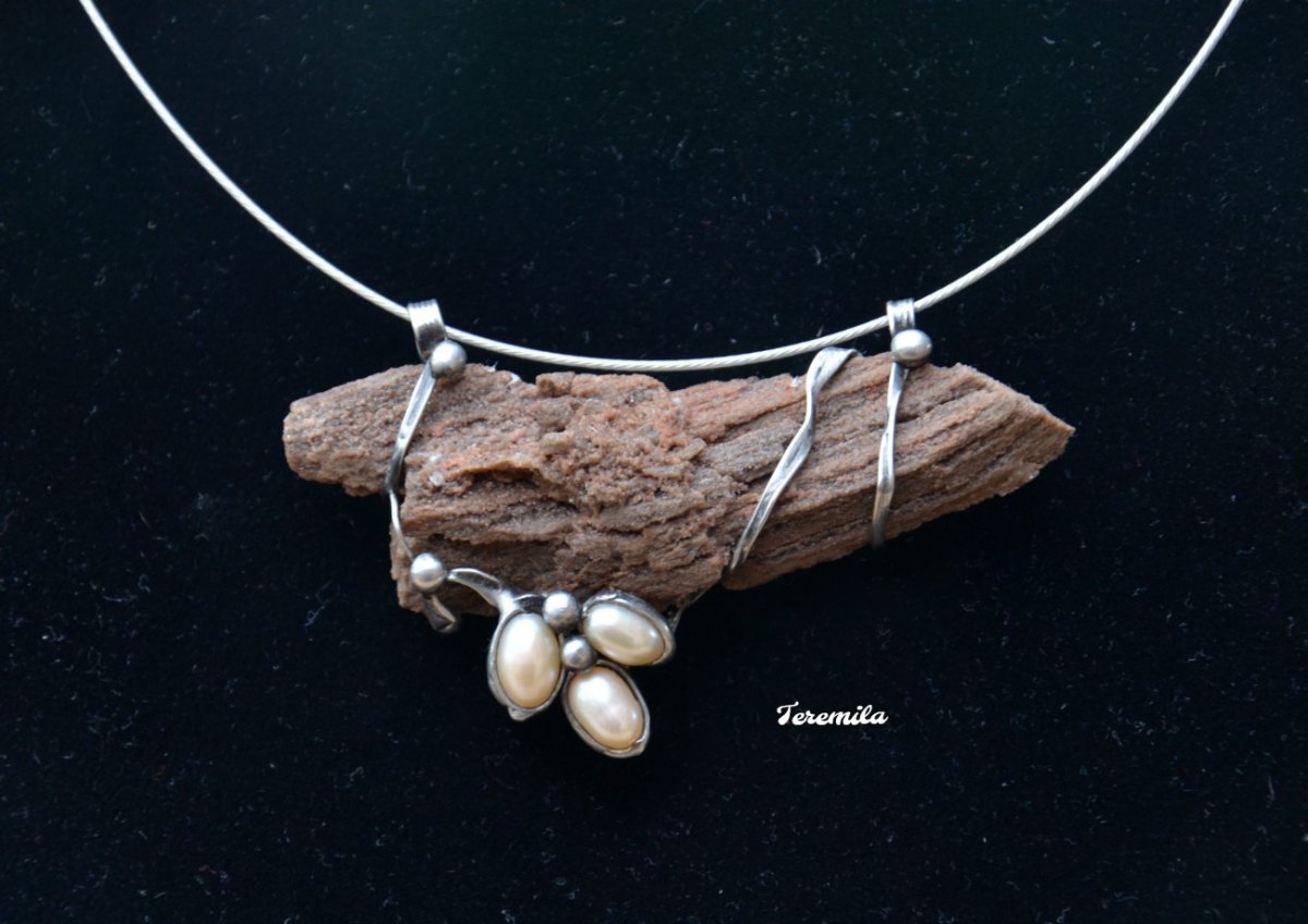 Velmi dávno - zkamenělé dřevo