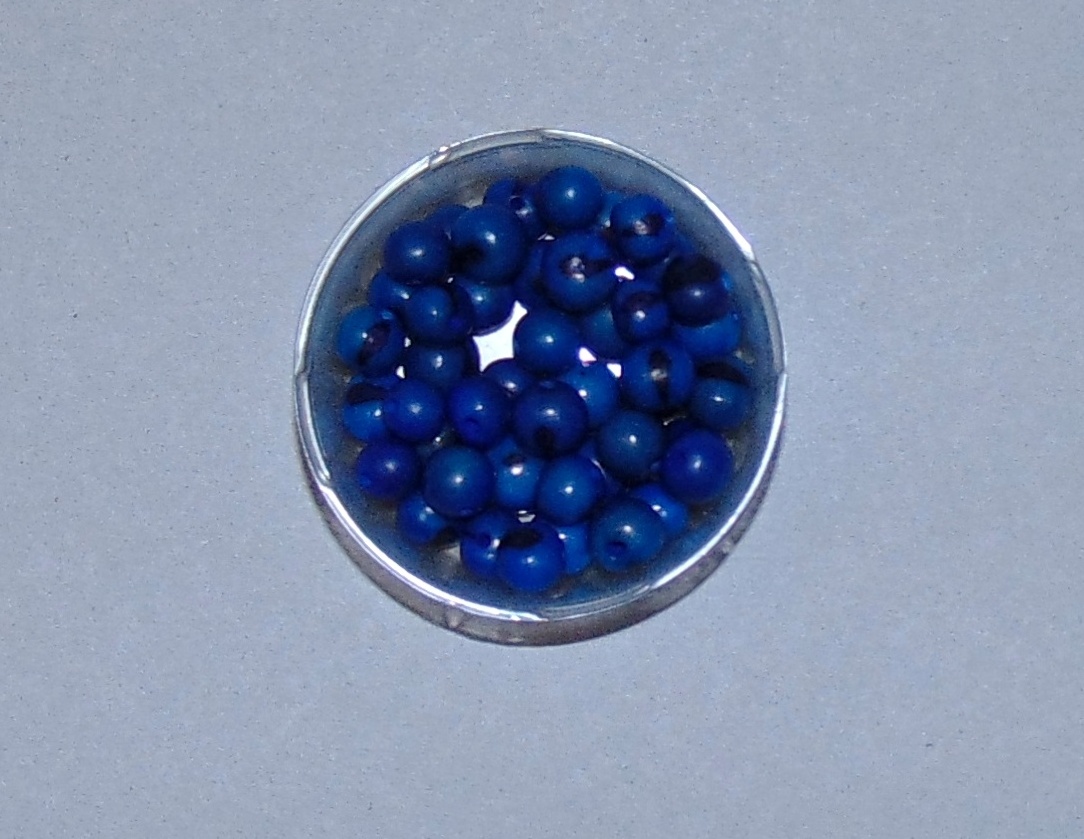 Semínka asai/acai/bombona tmavě modrá 5ks