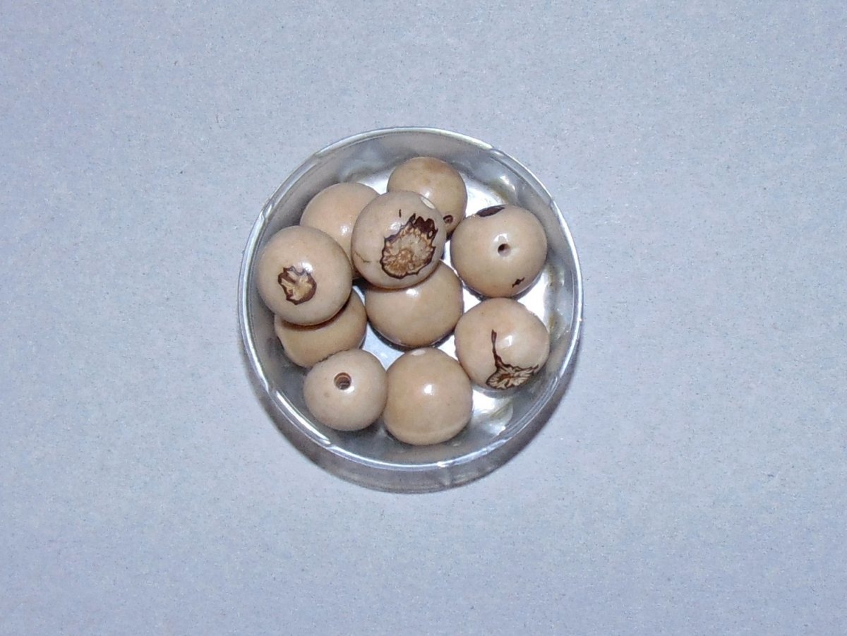 Semínka bombona bílá přírodní 2ks