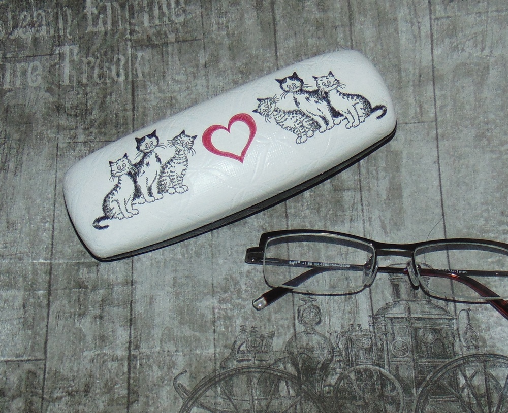 Pouzdro na brýle - koťátka