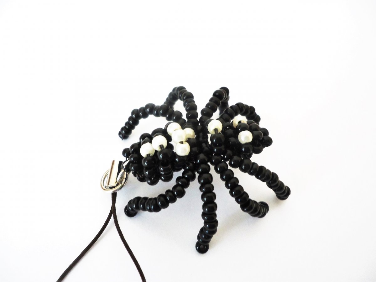 Pavouk-černý křižák