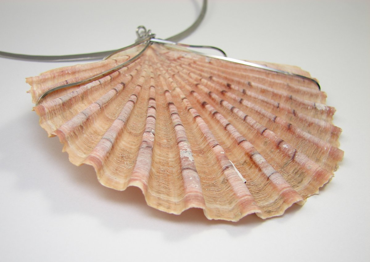 Velká mořská víla