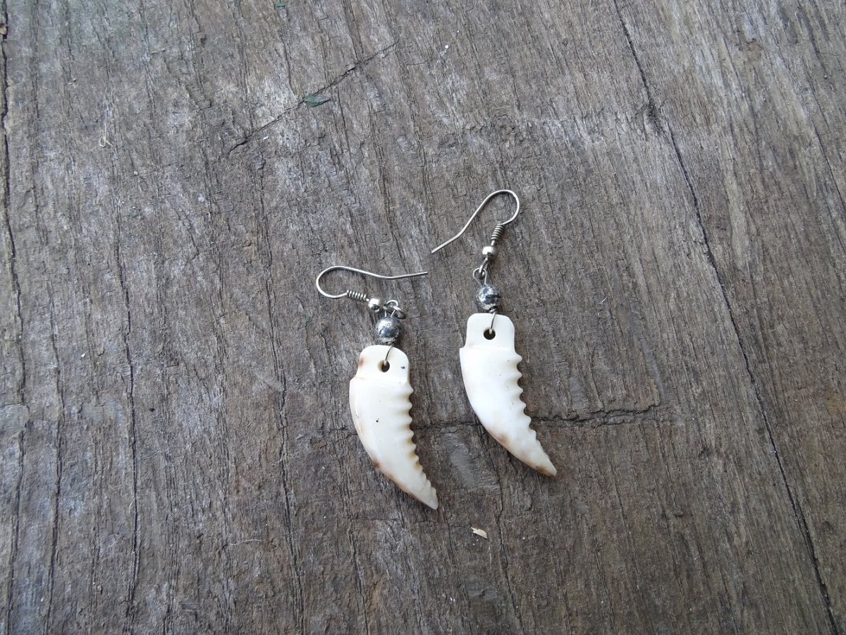 náušnice špičák plast