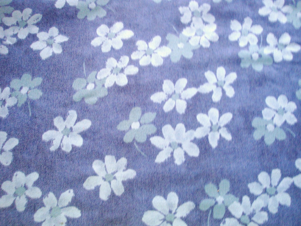 Džínovina květy - 0,40 m