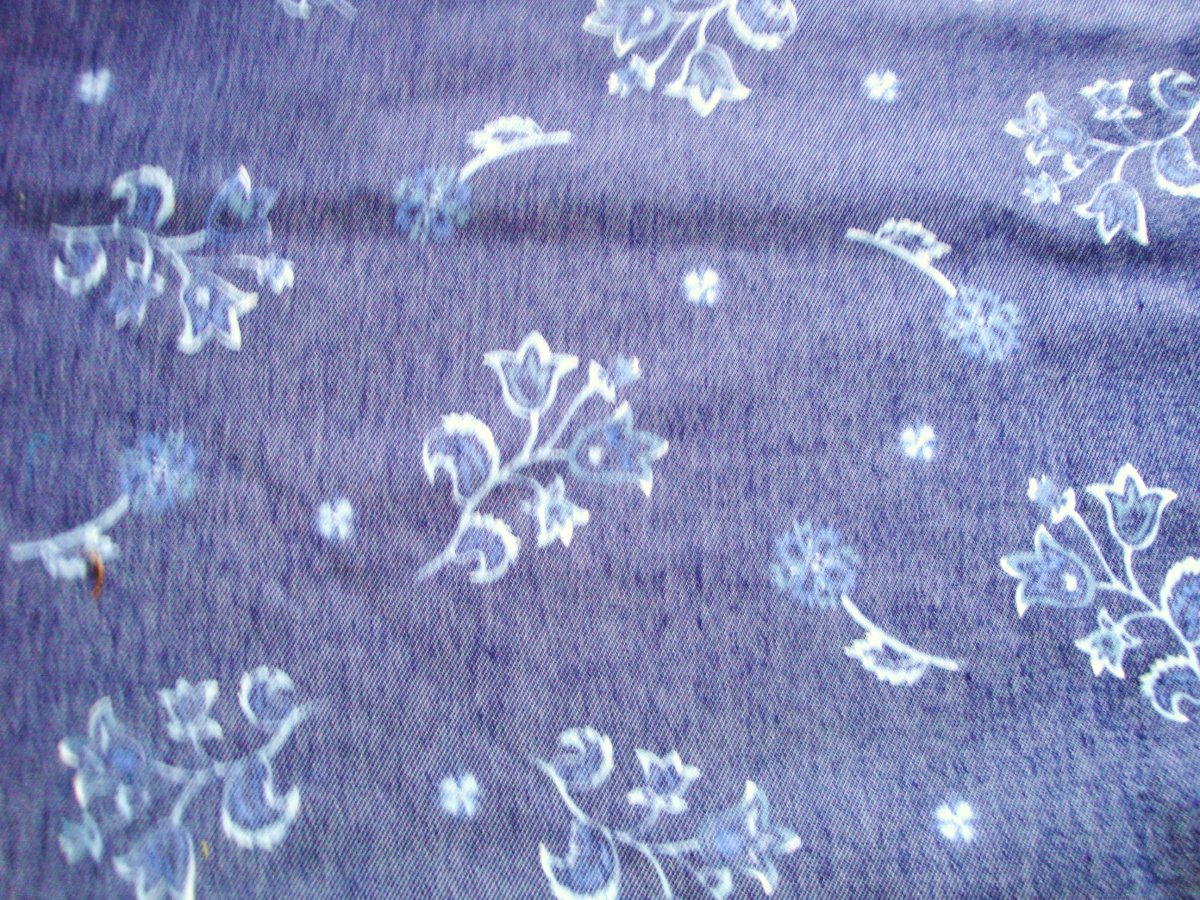 Džínovina květy - 0,55 m