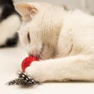 Plstěná hračka pro kočky s peřím a šantou - červená
