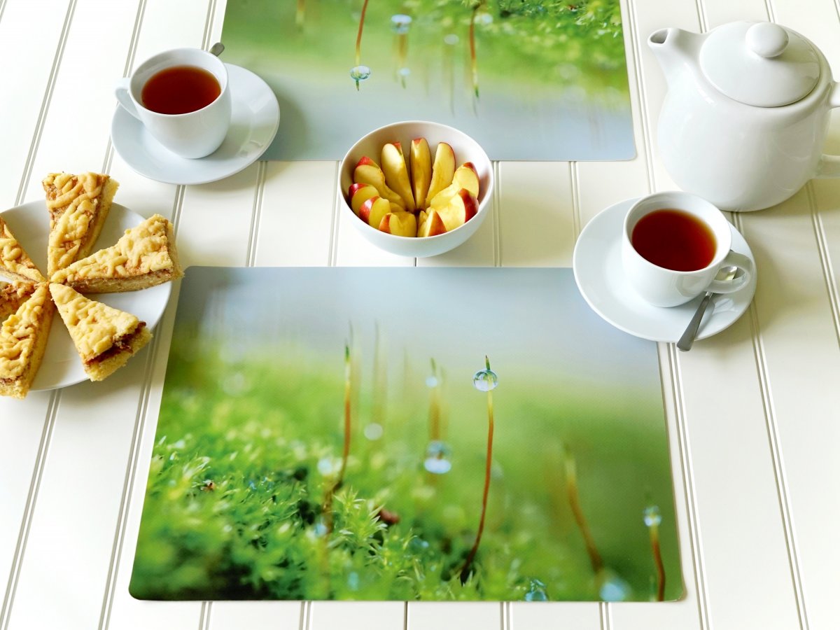 Autorské Foto Prostírání - Ranní mlhou