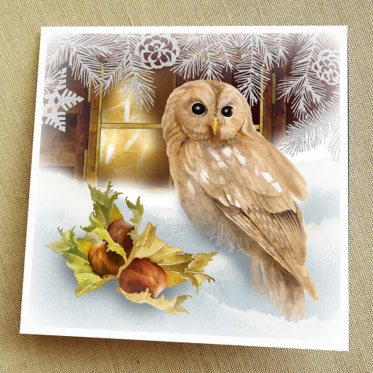 Přání - TŘI TAJEMNÉ OŘÍŠKY