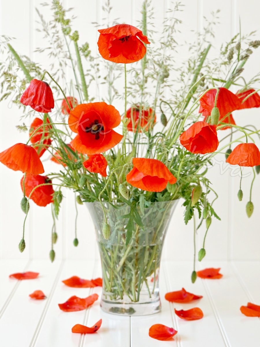 Sada: Obrazy + prostírání - 