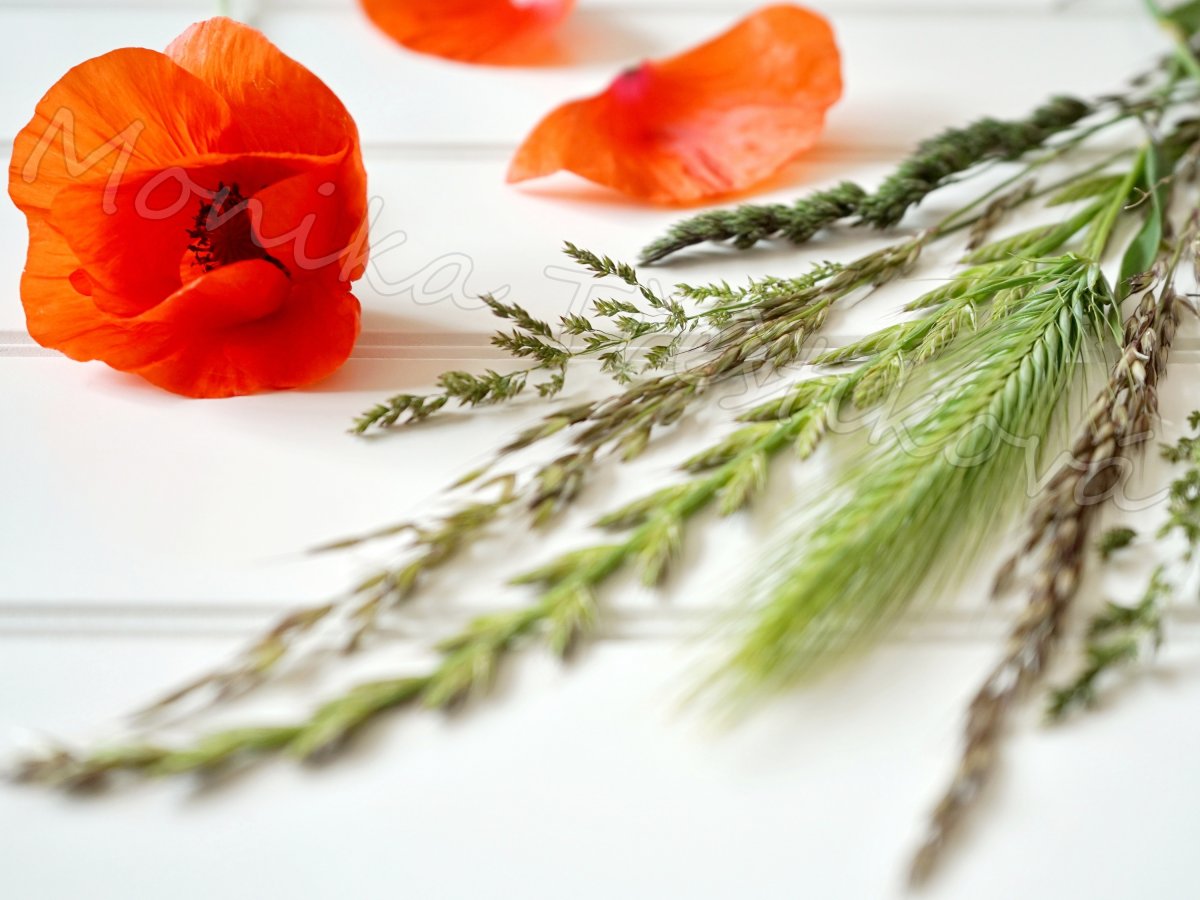 Sada: Obrazy + prostírání - 