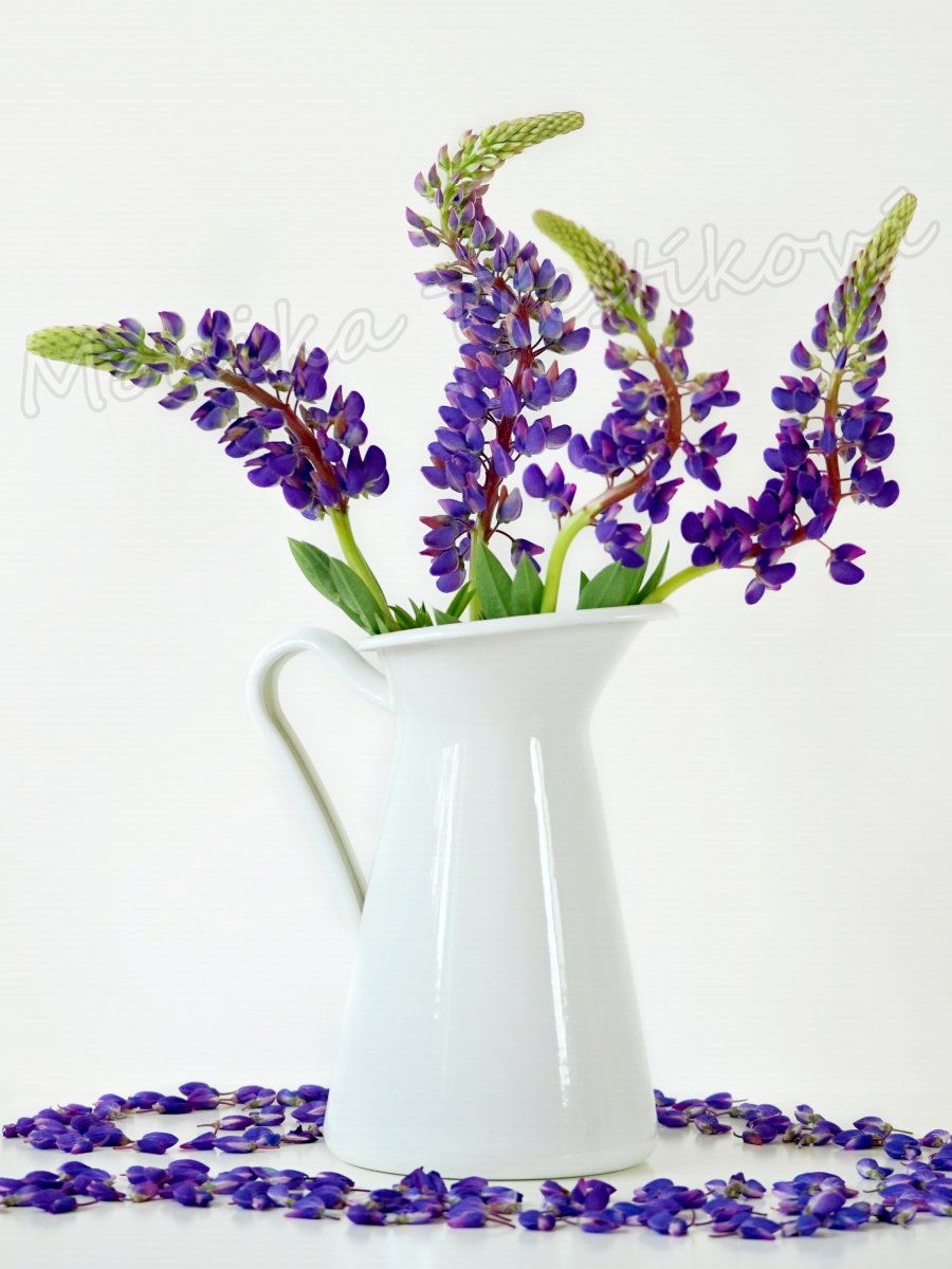 Fotoobraz - Minimum minima