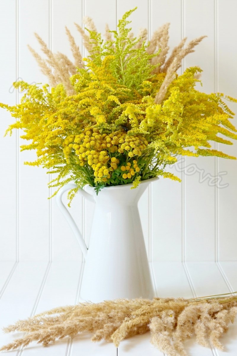 Krása pozdního léta (fotografie A4)