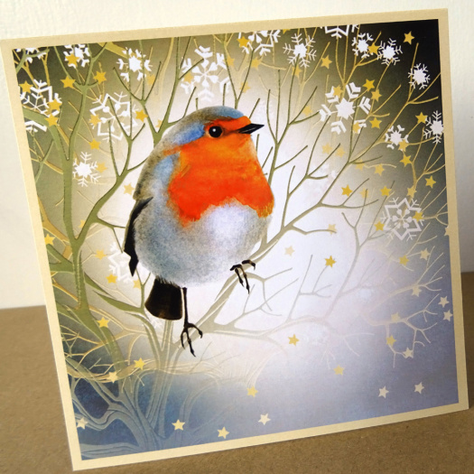 Přání - VÁNOČNÍ ČERVENKA