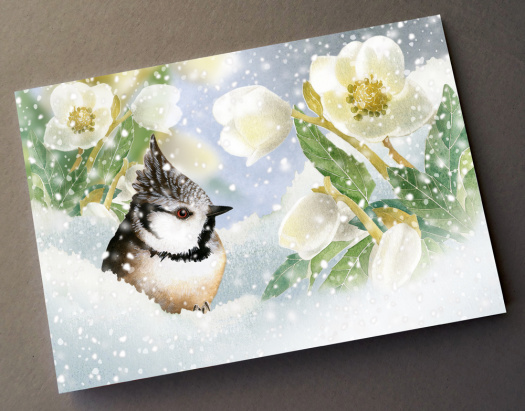 Přání BÍLÉ ČEMEŘICE