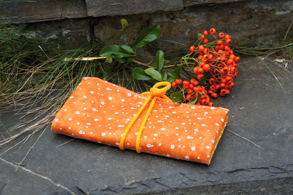 Cestovní šperkovnice