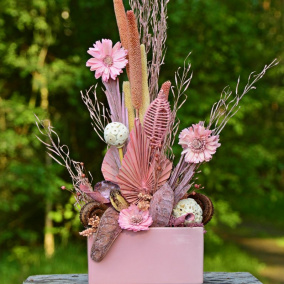 růžová zahrada ...