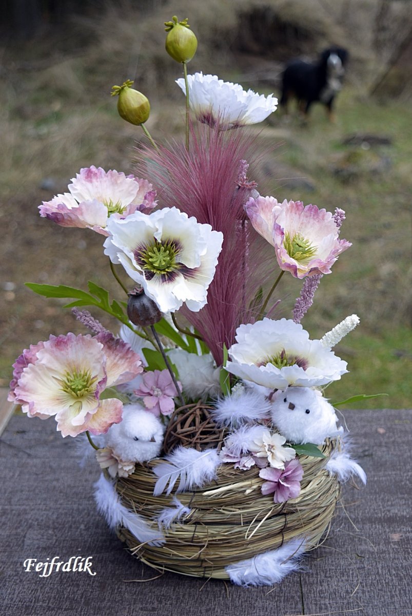 jarní mláďátka ..