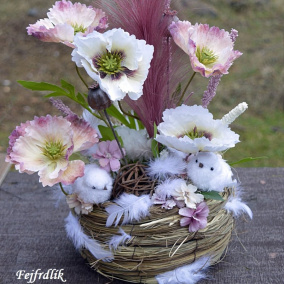 jarní mláďátka ..