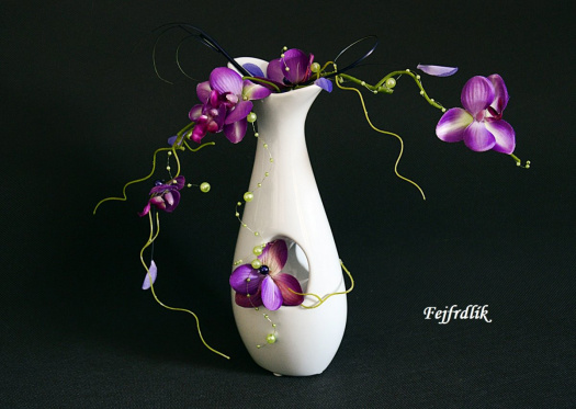 orchidejka..