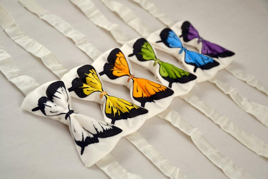 Motýlek s motýlem - malý