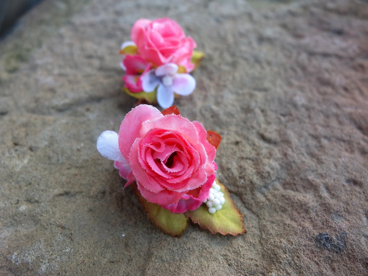 Dvě růžové růžičky