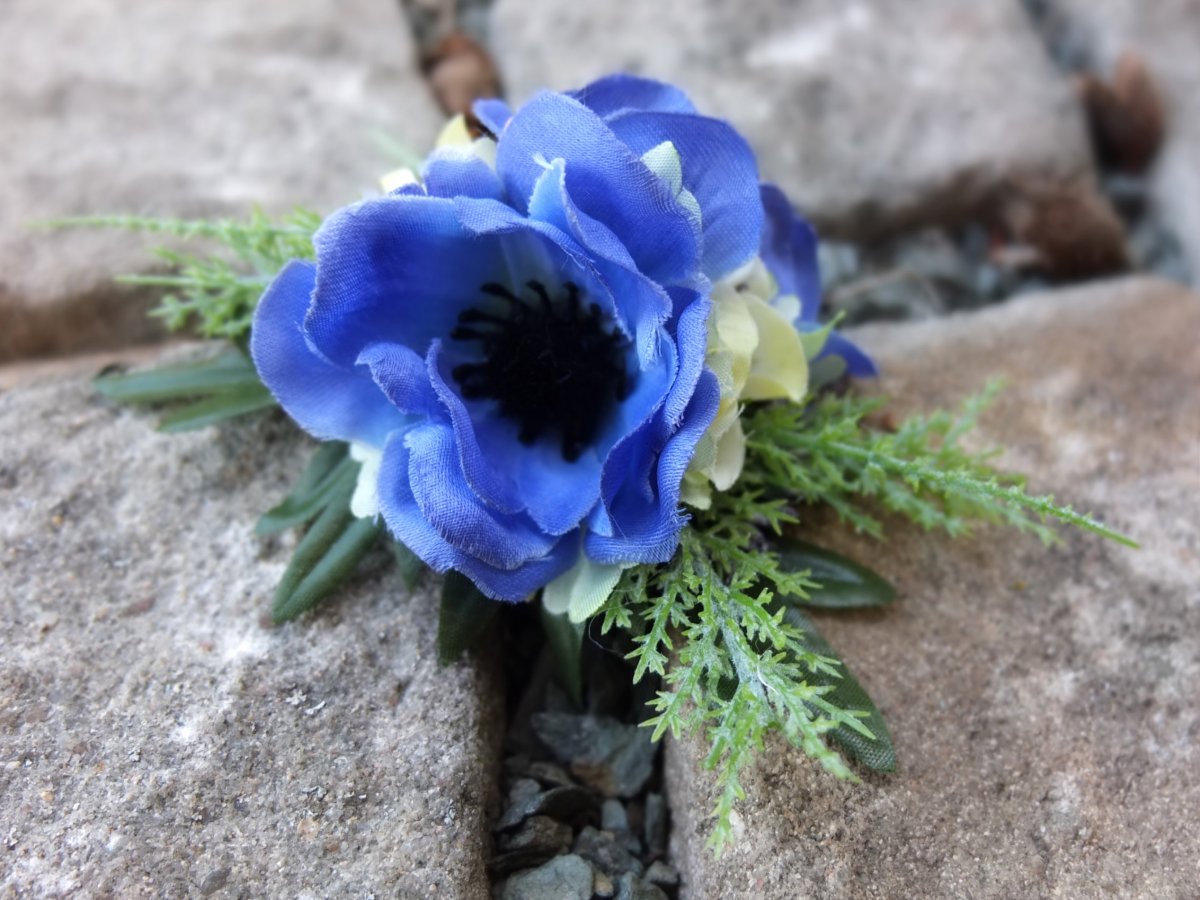 spona pro holku modrookou