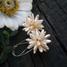 Ježovky - krémové