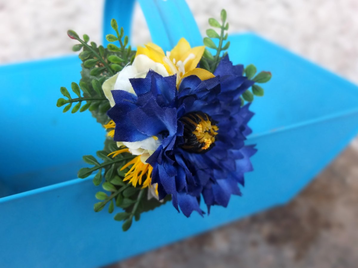 modrá chrpa na sponce / broži