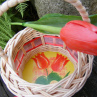 Košíček - tulipánový