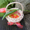 Košíček - tulipánový