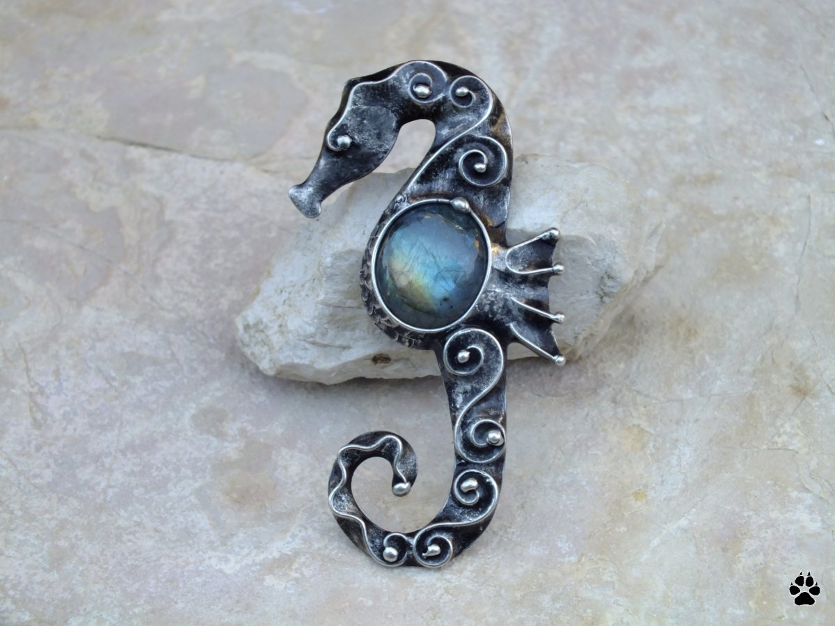 Mořský koník - labradorit