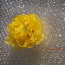žlutý sluníčkový květ