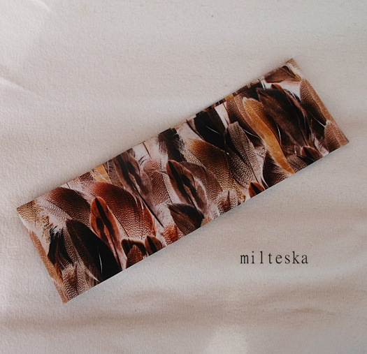 čelenka- peříčka