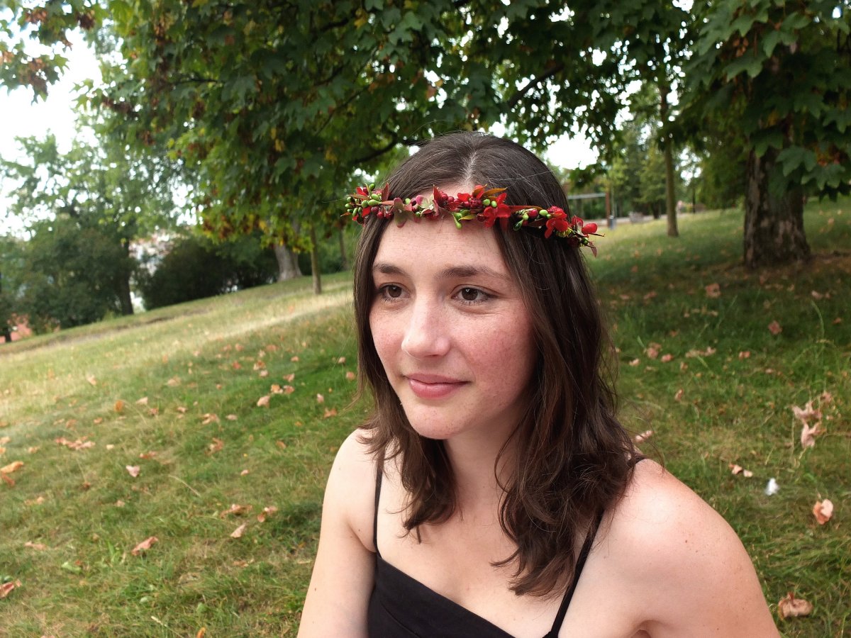 Lesní cestička lemovaná jahodami